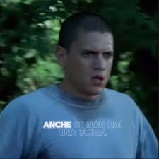 il doc+micheal=😍 #prisonbreakedit #michealscofield #wenthworthmiller #doc3  #italianedit #songitalia #editprisonbreak #viral #perte #andiamoneiperte  #villabanks #noflop #trend #trending