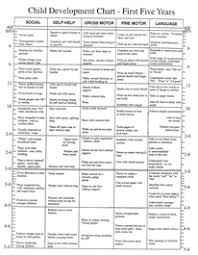 Child Development Chart First Five Years Slp Reference
