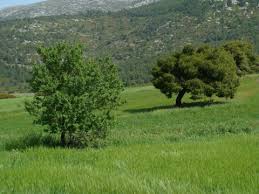 Οι υδροφόρες και το προσωπικό συντρέχουν τις πυροσβεστικές. Bilia Porto Germeno Psa8a Limnh Boyliagmenhs Motoriders Club