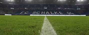 We did not find results for: Neuer Rasen So Teuer Ist Der Austausch Des Gelaufs Auf Schalke Reviersport