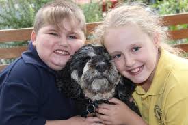 Mobility for Oscar the brave