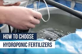 How To Choose Hydroponic Fertilizers Upstart University