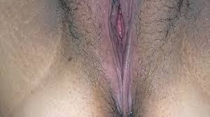 Regardez du sexe français favoris gratuitement. Gunung Search Xnxx Com