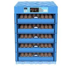Automatic Chick Incubators