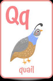 As soon as i finish washing the breakfast dishes, it's time to start preparing lunch. Words That Start With The Letter Q Kids Activities Blog