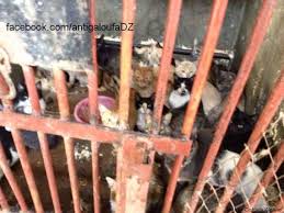 Check spelling or type a new query. Maghreb