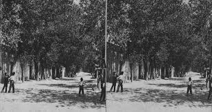 A Civil War History of the New Mexico Volunteers & Militia