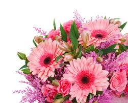 Our range of styles, choices and prices reflect the diversity of who we buy mother`s day flowers for. Mothers Day Flowers Background Free Large Images Mothers Day Flowers Colorful Bouquet Rose Bouquet
