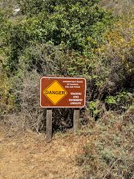 Eucalyptus Meditation