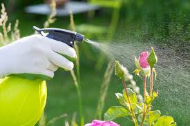 We specialize in termite control, pest control, bee removal, rodent control, and more for residential and commercial customers. Diy Pesticides Vs Professional Burns Pest Elimination