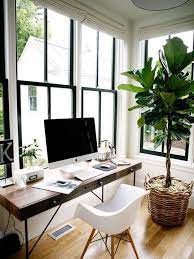 Grosse Indoorpflanzen Sind Die Perfekte Losung Um Den Platz Zu Nutzen Ohne Ihn Mit Schweren Mobelstucken Oder Viel Z Home Office Decor House Interior Interior