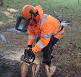 CHAINSAW (BASIC)