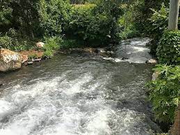 Rio Caluco Sonsonate Rio River Water