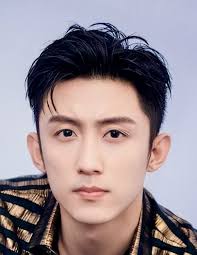 Johnny Huang (黄景瑜)