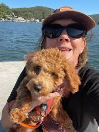 Keddy ready for his afternoon walk❤️