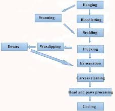Meat Processing Flow Chart Best Picture Of Chart Anyimage Org