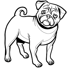 Chien Bouledogue Frana Ais Chien Bouledogue Francais Chien Coloriage Chien Bouledogue