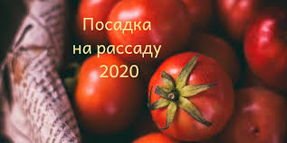 когда сеять перец на рассаду в 2019 году украина Rassada Pomidor Kogda Sazhat V 2020 Godu Posadka Semyan Po Lunnomu Kalendaryu Dacha