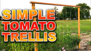 A teepee trellis is a freestanding cover with netting (optional). This Is The Easiest Tomato Trellis You Can Build For Your Tomato Plants Youtube