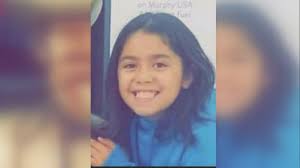 Detroit City Council unanimously passes Emma's Clause, a stricter amendment  to city's dog ordinance