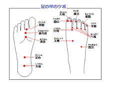 足つぼマッサージ 足裏反射区リフレ効果 ふくらはぎツボ図解一覧 足つぼマッサージ つぼマッサージ 足つぼ