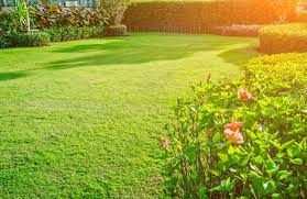 Check spelling or type a new query. Cutting Edge 1 Rated Lawn Care In Fort Smith