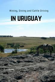 The Word Gaucho Is Not Exclusive To One Country In South America In The Farmlands Of Uruguay You Can Stay At A Workin Cattle Drive Adventure Travel Uruguay