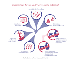 Es gibt nicht in der tat diese eine. Reach Verordnung Der Eu Verlangt Die Prufung Tausender Stoffe