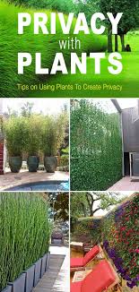 A privacy fence might be made from durable materials such as vinyl, wood, iron, or aluminum. Pin On Garden Backyard Galore