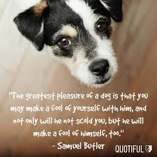 Happy National Dog Day Dog Quotes Love Your Pet Day Dog Eyes