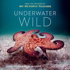 Underwater Wild: My Octopus Teacher's... by Foster, Craig