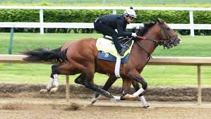 This article contains links to external sports betting services. Uovftvmo0yacum