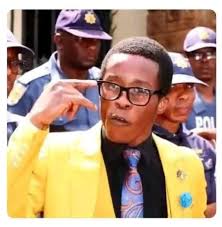 Zimbabwe's alleged election interference in Southern Africa