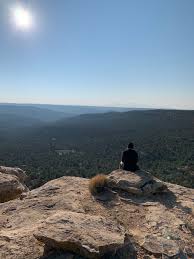 Peter Frankel, Pre-Licensed Professional, Evanston, IL, 60201