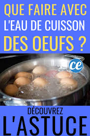 Ne Jetez Pas L Eau De Cuisson Des Oeufs Voici L Astuce Pour Utiliser L Eau De Cuisson Des Oeufs Cuisson Des Oeufs Trucs Et Astuces Jardinage Astuces