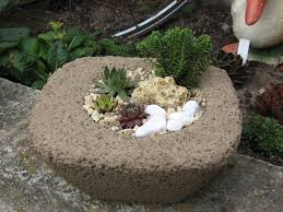 Trogle Pflanzschale Aus Beton Hypertufa Pflanzschale Pflanzen Garten