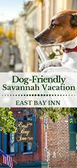 Pet Friendly Savannah Hotels - Dog Friendly Historic Hotels In Savannah Ga Pet Friendly Hotels Savannah Hotels Savannah Chat
