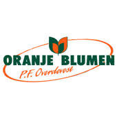 Blumenshop michelhans in den strieten 1, 68519 viernheim (feudenheim) blumenhaus wasser alter postweg 2, 68309 mannheim (käfertal) rosenrot neckarstraße 3, 68259 mannheim (feudenheim) Oranje Blumen Rhein Neckar Zentrum Viernheim