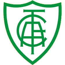 Resultado de imagem para escudos do botafogo, vitoria, santa cruz e america mg imagens