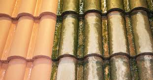 Houses, condos, and apartments commercial power washing: Cleaning Your Sw Florida Roof Soft Wash Or Pressure Wash