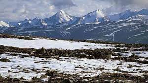 Alp ve antarktika tundrası daha nadirdir ve arktik tundrası kendi ayrı. Bioma Tundra Pengertian Proses Ciri Ciri Jenis Iklim Fauna Flaura