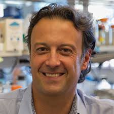 Members win Biophysical Society awards; Wei, DiMaio and Toker receive NCI  grants