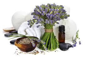 Составляющие косметики