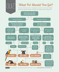Find your perfect pet quiz