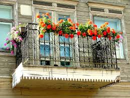 Las plantas suculentas colgantes cada vez son más populares pues decoran hermosamente cualquier habitación o balcón: Flores De Terraza Con Mucho Sol Ideas De Nuevo Diseno