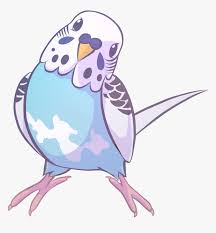 They come in yellows, greens, blues, whites. Drawing Parakeet Hd Png Download Kindpng