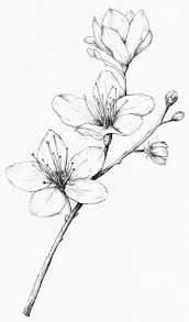 Art Aesthetic Art Aesthetic Painting Art Aesthetic Wallpaper Art Aesthetic Drawing Art Ae In 2020 Pencil Drawings Of Flowers Easy Flower Drawings Aesthetic Drawing