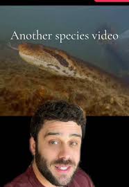 Replying to @Saved By Grace Dinosaur soft tissue #evolution #dinosaur ...