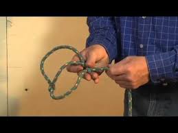 Training A Lamb To Start Showing Sheep Pen Sheep Farm Showing Livestock