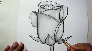 How To Draw A Rose Pencil Drawing Shading For Beginners Youtube Learn to draw like a master artist. how to draw a rose pencil drawing shading for beginners